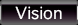 Vision